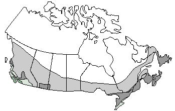 Heating Seasonal Performance Factors (HSPFs) for Ground Water or Open System EESs in Canada (left to right)